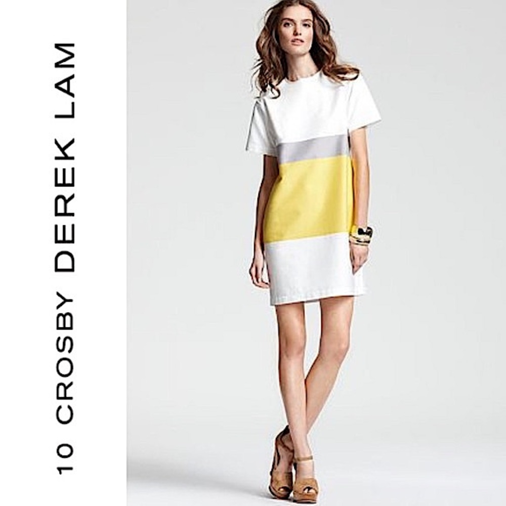 Derek Lam 10 Crosby Color Block Stripe Tunic Summer Dress